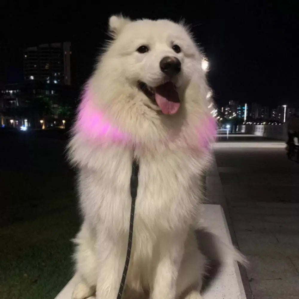 Adjustable Size LED Dog Collar Multi-Color Light Fiber Optic Material USB Rechargeable Collar PVC Material Detachable Pendant