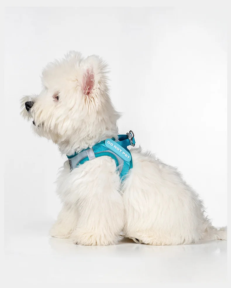 Dog Harness with Mood Patches–Reflective No-Pull Vest, Breathable Air Mesh for Small Dogs Adjustable Soft Padded Walking Lead