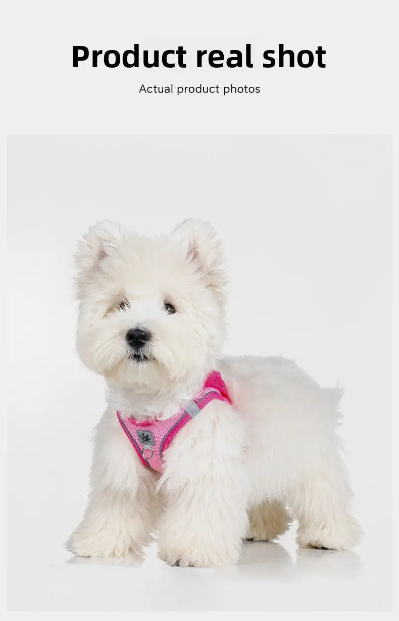 Dog Harness with Mood Patches–Reflective No-Pull Vest, Breathable Air Mesh for Small Dogs Adjustable Soft Padded Walking Lead