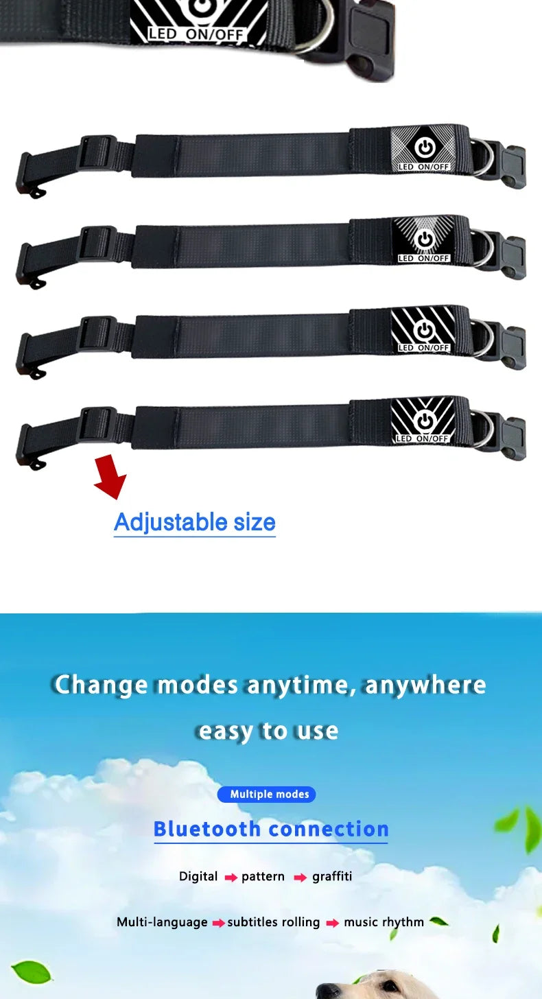 LED Light UP Dog Collar Bluetooth APP Programmable Message Scrolling LED Display Screen Pet Accessories Collar