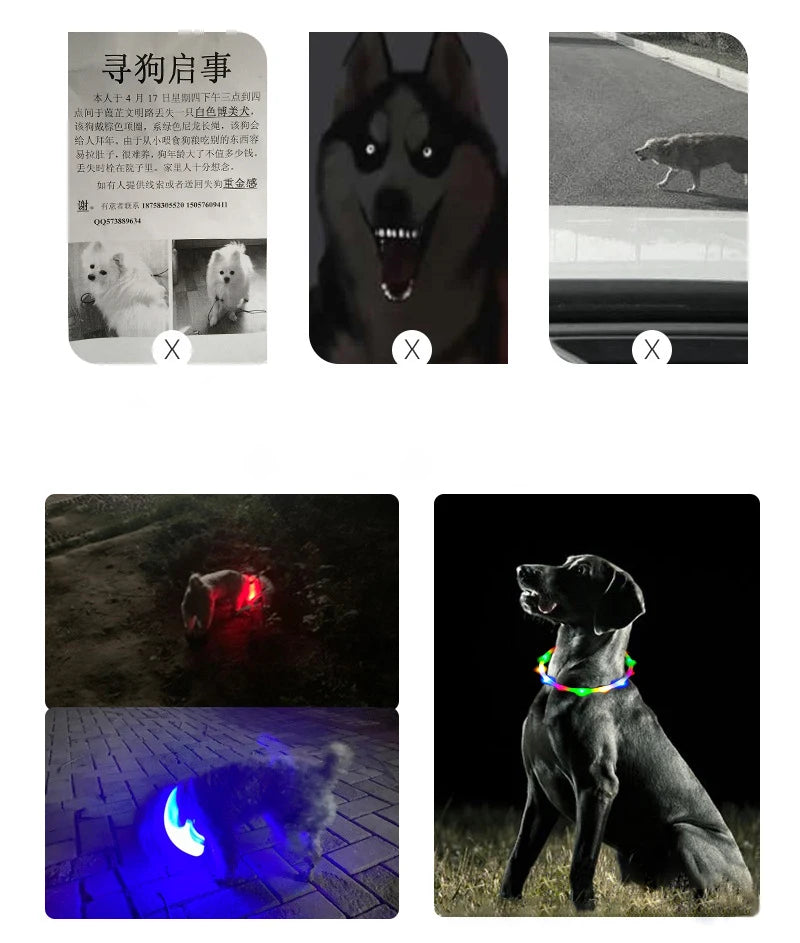 4 Modes Dog Luminou Charge Collar Led Usb Cat Silicone Colorful Collars Cuttable Night Glow Pet Loss Prevention Dogs Accessories
