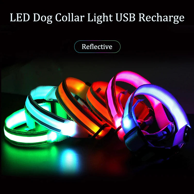 Reflective Dog Collar Luminous Night Safety Usb Rechargeable LED Dog Collar Light For Small Dogs Cat Pet Collar Para Perro XS-XL