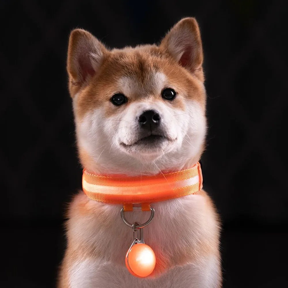 Usb Charging Glowing Dog Collar With Pendant Detachable Luxury Led Light Bright For Small Dogs Cat Night Safety Collar Wholesale