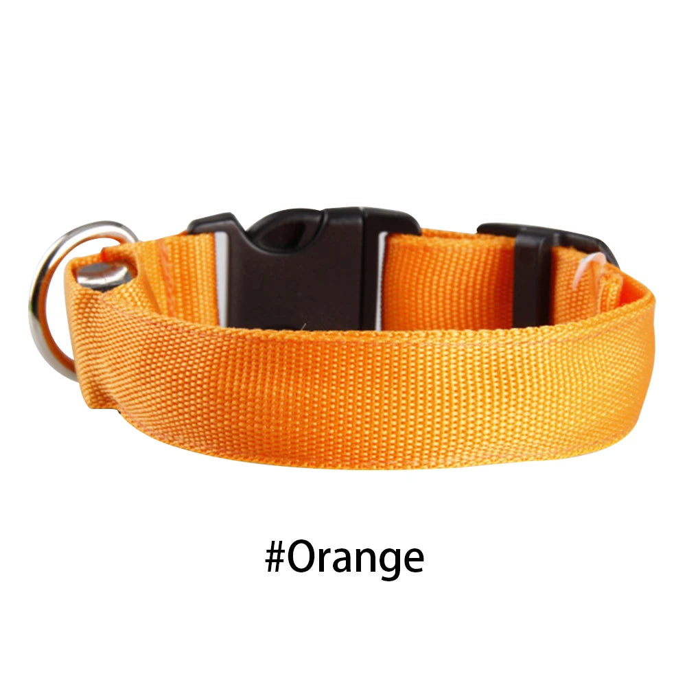 LED Dog Collar Glowing Up Anti-lost Pet Products Night Safety Collars with Batteries Pet Necklace Glow Collar for Small Dogs Cat