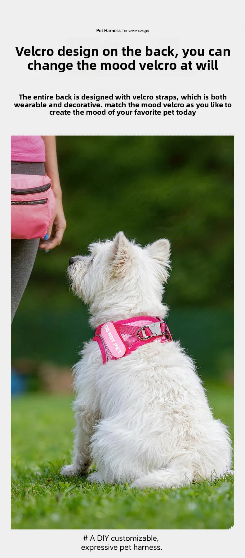 Dog Harness with Mood Patches–Reflective No-Pull Vest, Breathable Air Mesh for Small Dogs Adjustable Soft Padded Walking Lead