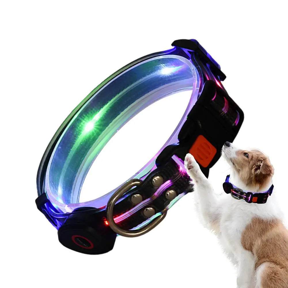 Dog Led Light Up Collar Rechargeable Waterproof Glowing Adjustable Dog Collar Weather Proof Dog Lights For Night Walking