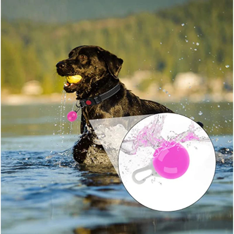 LED Luminous Collar Adjustable Glowing Dog Collar USB Rechargea  Flashing Anti-Lost/Avoid Car Accident Collar Dogs Pet Products