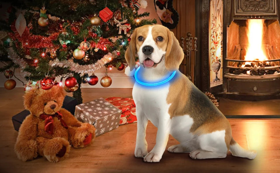 Dog Luminous Charge Collar Led Usb Cat Dogs Collars 3 Modes Detachable Night Led Glow Dog Loss Prevention Collar Pet Accessories
