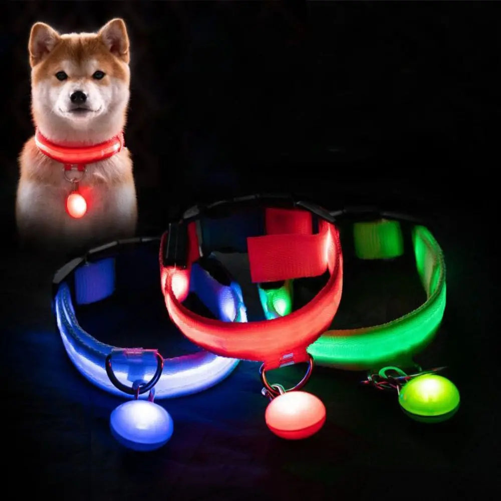 Usb Charging Glowing Dog Collar With Pendant Detachable Luxury Led Light Bright For Small Dogs Cat Night Safety Collar Wholesale