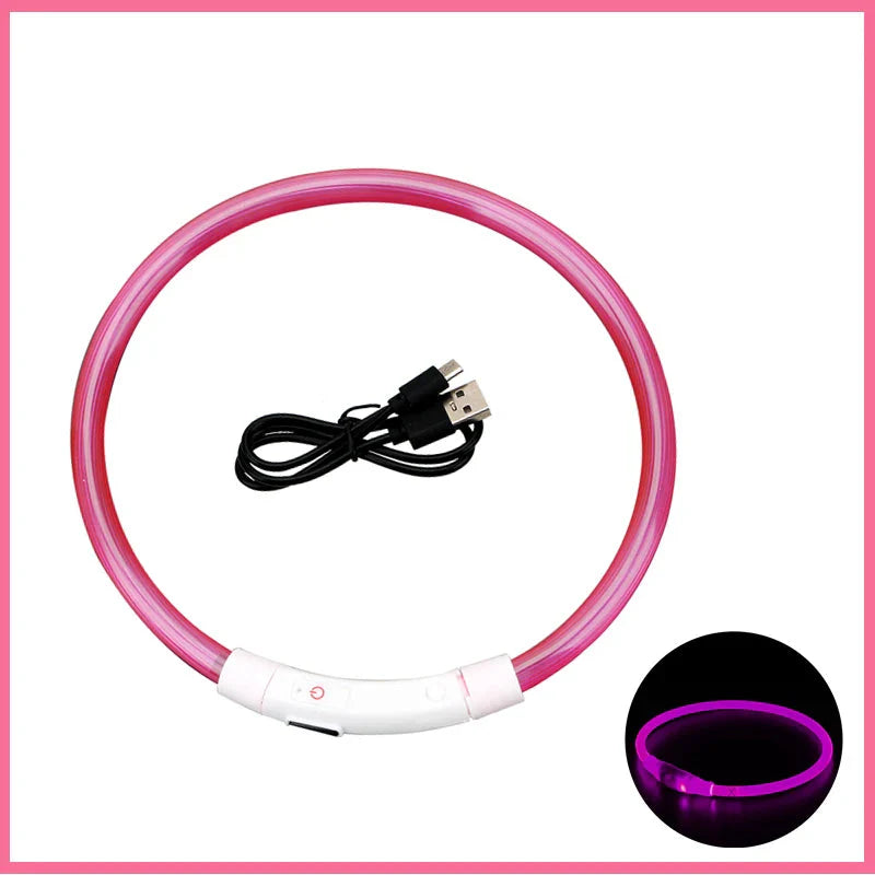 LED Pet Dog Collar for Night Safety | Bright USB Rechargeable