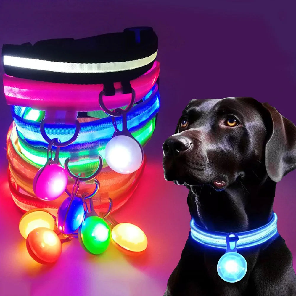 Usb Charging Glowing Dog Collar With Pendant Detachable Luxury Led Light Bright For Small Dogs Cat Night Safety Collar Wholesale