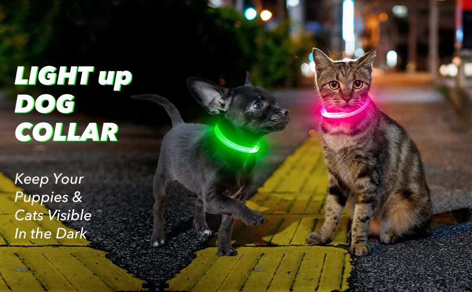 Dog Light Up Collar LED Collar Light Up Cat Collar USB Rechargeable Collar Christmas Decoration Pet Collar Pet Christmas Gifts