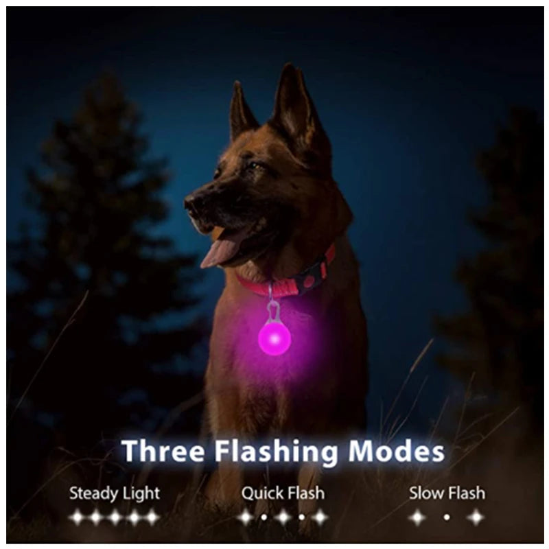 LED Luminous Collar Adjustable Glowing Dog Collar USB Rechargea  Flashing Anti-Lost/Avoid Car Accident Collar Dogs Pet Products