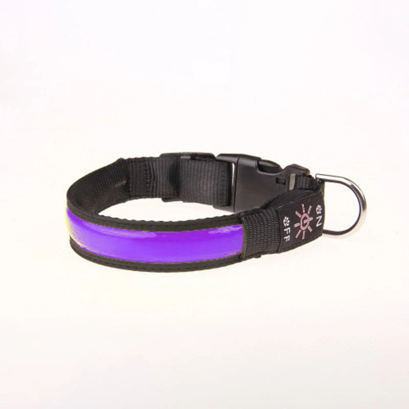 Pinkycolor USB Charging LED Dog Collar Luminous Light Night Safety Reflective Leather Glowing Collar For Dogs Pets Rechargeable