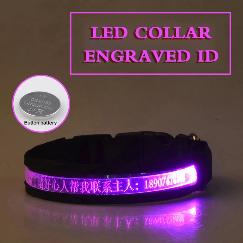 Dog Collars Personalized With Name/Phone Prevent Loss LED Night Safety Necklace Pet Collar Dog Small Puppy Cat Collar Para Perro