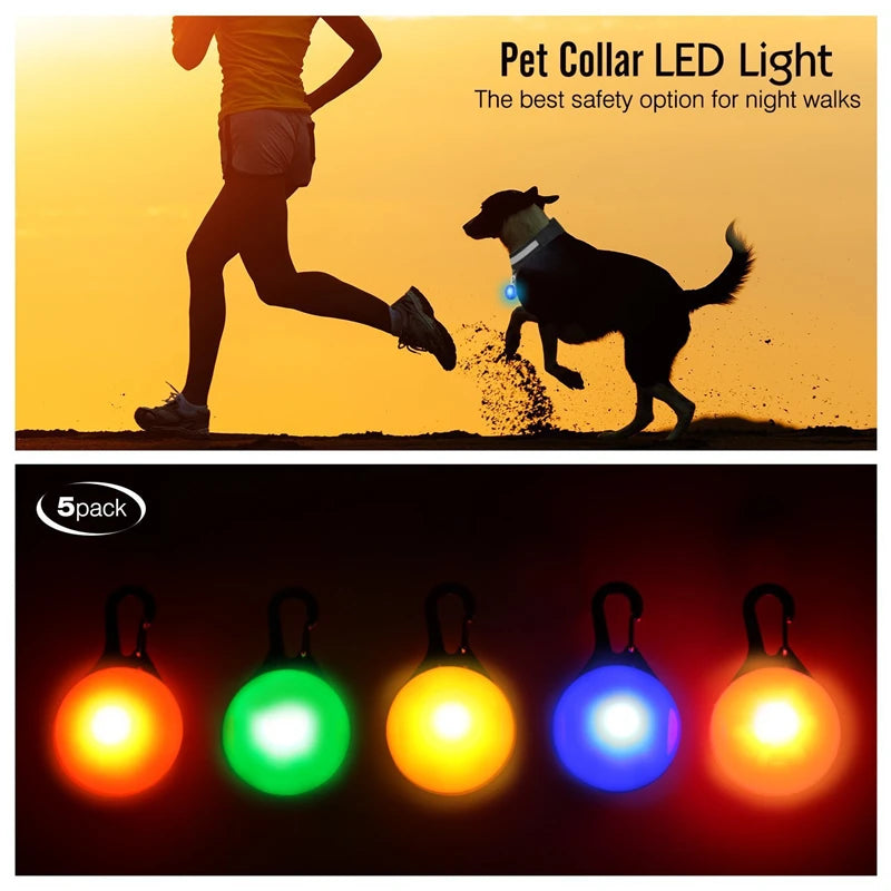 LED Luminous Collar Adjustable Glowing Dog Collar USB Rechargea  Flashing Anti-Lost/Avoid Car Accident Collar Dogs Pet Products