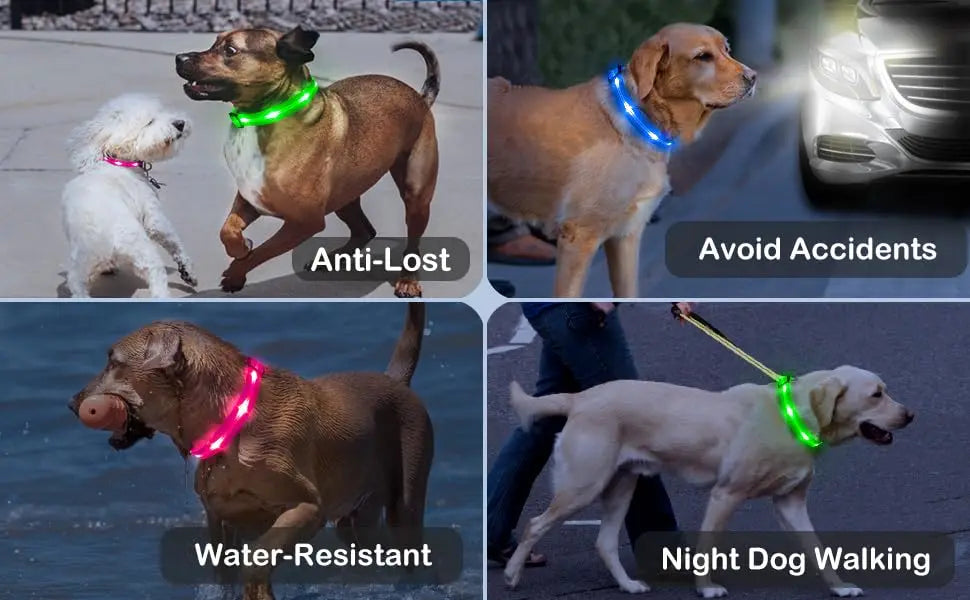 New Adjustable Led Glowing Pet Dog Collar PVC Waterproof  Anti Dirty Easy To Clean for Big Small Dogs Puppy Cat Luminous Collar
