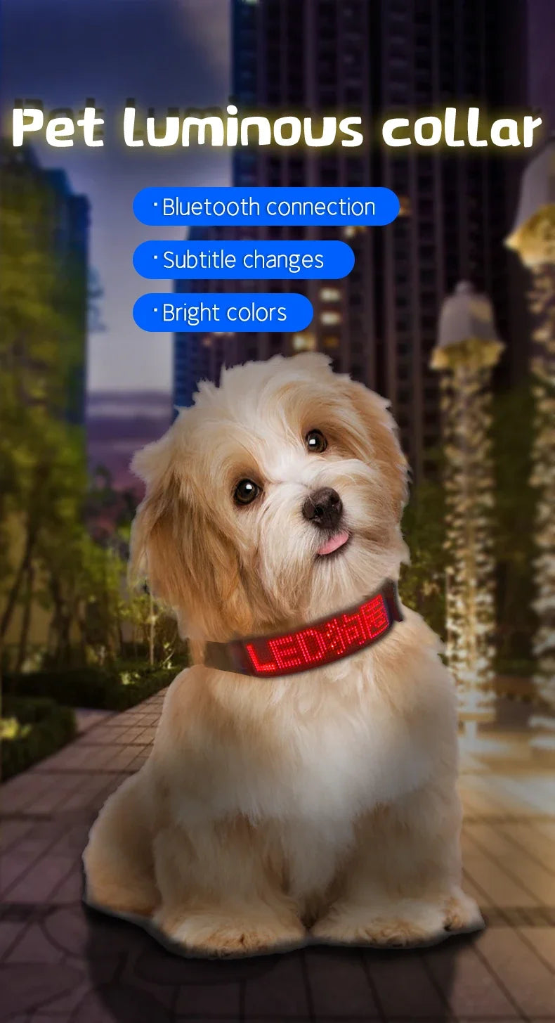 LED Light UP Dog Collar Bluetooth APP Programmable Message Scrolling LED Display Screen Pet Accessories Collar