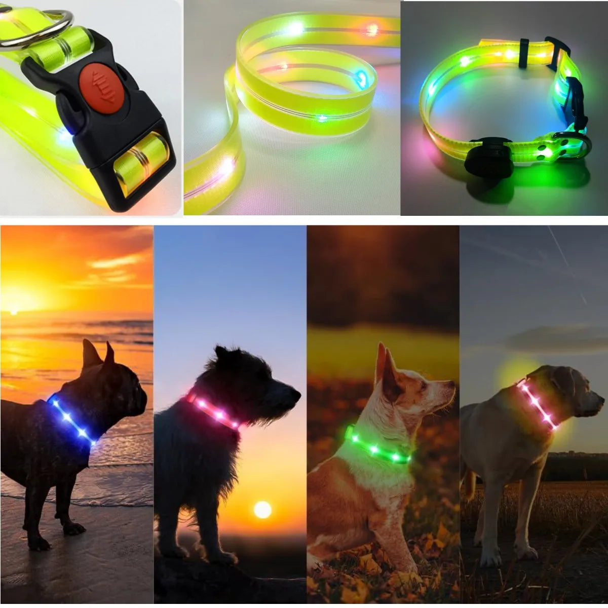 New Adjustable Led Glowing Pet Dog Collar PVC Waterproof  Anti Dirty Easy To Clean for Big Small Dogs Puppy Cat Luminous Collar