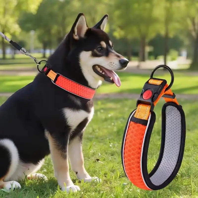 Dog Collar Nylon LED Night Safety Flashing Glow In The Dark Pet Dog Leash pet Dogs Luminous Fluorescent dog accessories collar