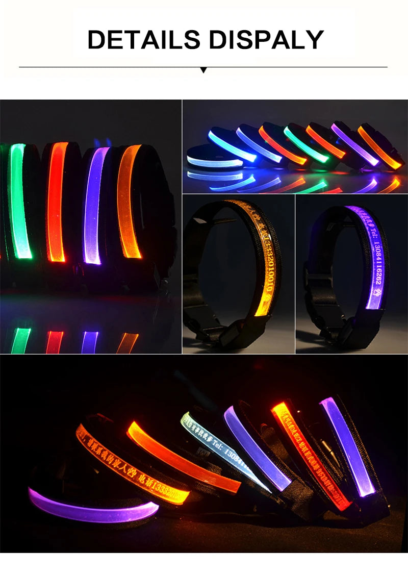 Dog Collars Personalized With Name/Phone Prevent Loss LED Night Safety Necklace Pet Collar Dog Small Puppy Cat Collar Para Perro