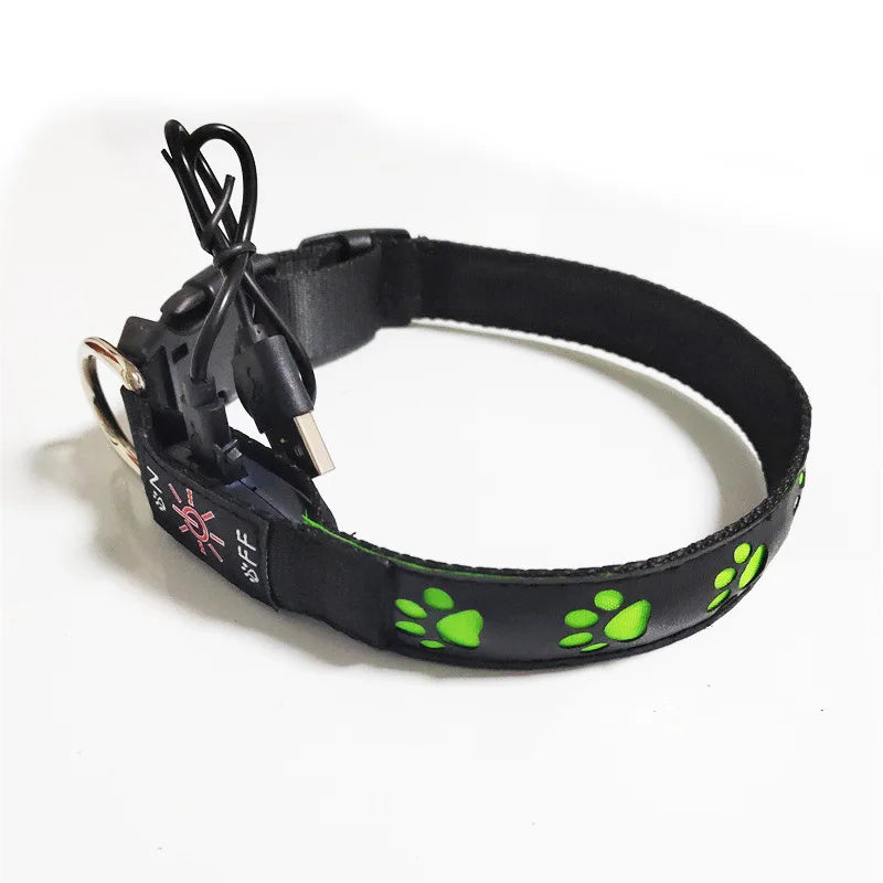 Luminous Dog Collar for Walking, Pet Supplies, Charging Dog Collar, Neck Ring, Colorful Scarf