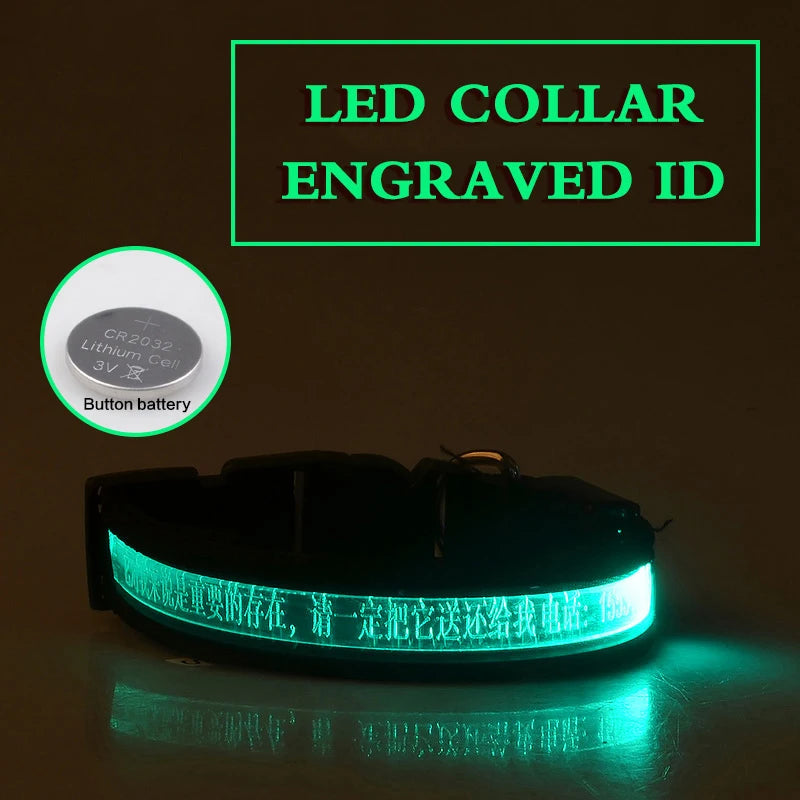Dog Collars Personalized With Name/Phone Prevent Loss LED Night Safety Necklace Pet Collar Dog Small Puppy Cat Collar Para Perro