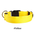 LED Dog Collar Glowing Up Anti-lost Pet Products Night Safety Collars with Batteries Pet Necklace Glow Collar for Small Dogs Cat