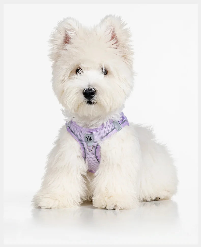 Dog Harness with Mood Patches–Reflective No-Pull Vest, Breathable Air Mesh for Small Dogs Adjustable Soft Padded Walking Lead