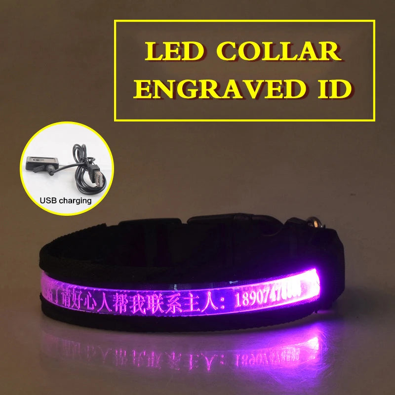 Dog Collars Personalized With Name/Phone Prevent Loss LED Night Safety Necklace Pet Collar Dog Small Puppy Cat Collar Para Perro