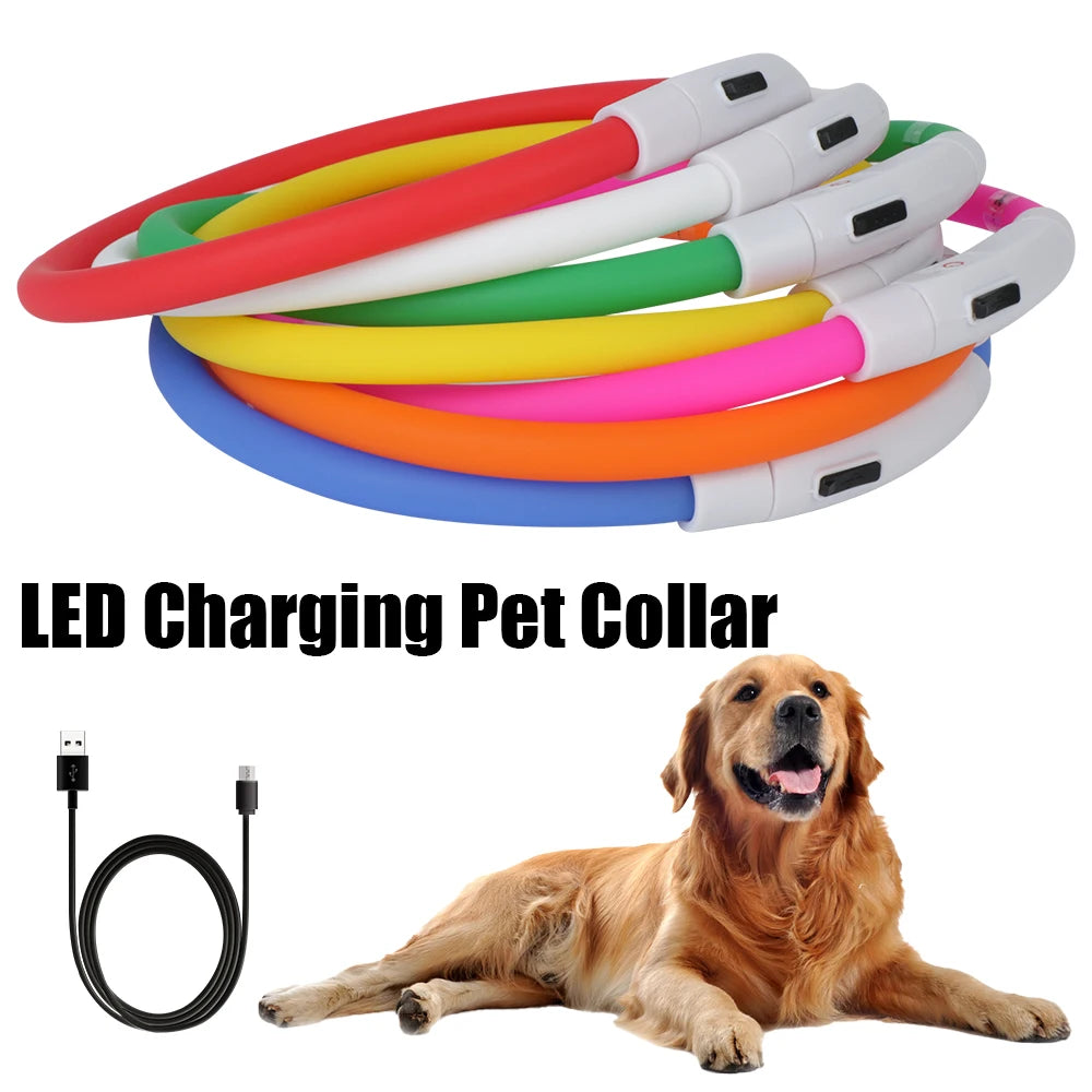 Dog Loss Prevention Led Usb Dog Collar Pet Accessories Night Safety Flashing Glow  Collar Night Luminous Charge Collar