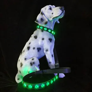 Luminous Dog Collar for Walking, Pet Supplies, Charging Dog Collar, Neck Ring, Colorful Scarf