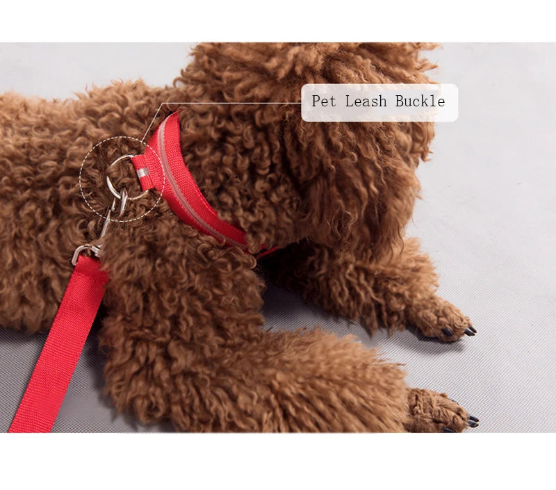 Dog Collar LED Light Electronic Night Safety Anti-Lost Nylon Adjustable Luminous Glowing Collar For Dogs Cats Pet Products Xs-XL