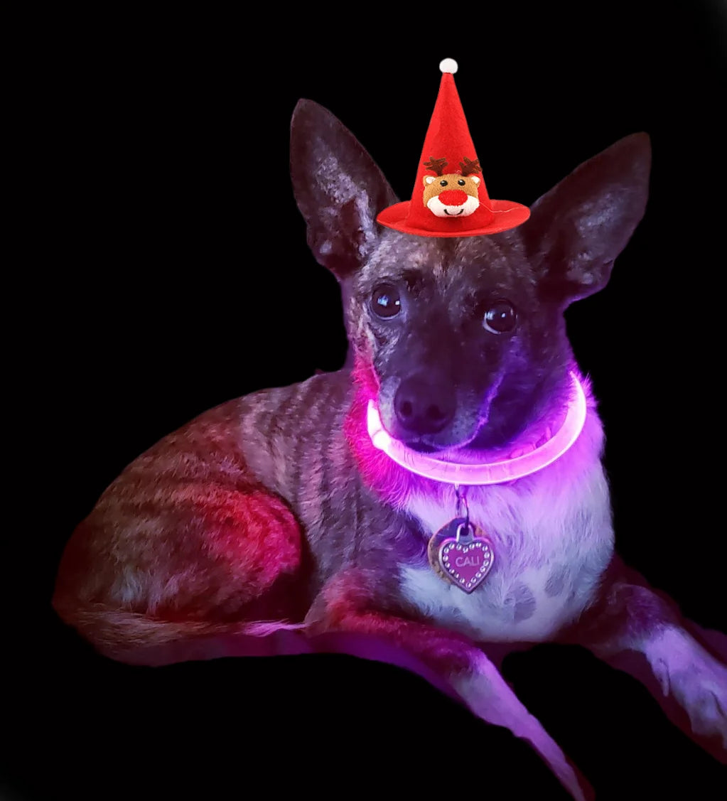 Dog Light Up Collar LED Collar Light Up Cat Collar USB Rechargeable Collar Christmas Decoration Pet Collar Pet Christmas Gifts