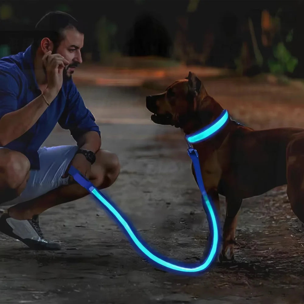 LED Glowing Dog Collar Adjustable Flashing Rechargea Luminous Collar Night Anti-Lost Dog Light HarnessFor Small Dog Pet Products