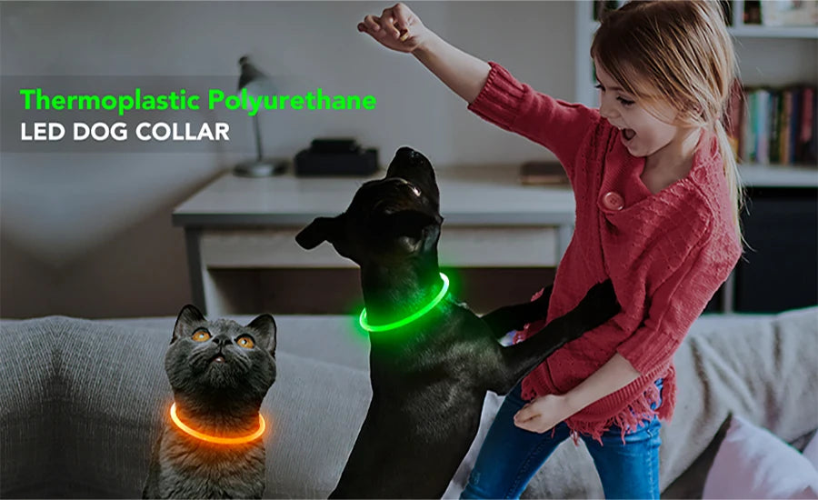 Dog Luminous Charge Collar Led Usb Cat Dogs Collars 3 Modes Detachable Night Led Glow Dog Loss Prevention Collar Pet Accessories