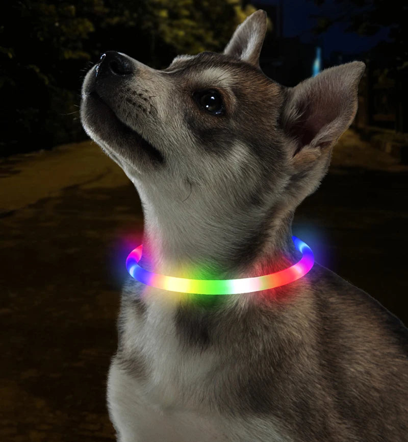 Led Pet Collar Dog Colorful Light-Up Collar Free Cut Night Light Dog Walking Lights Flashing Neck Scarf Usb Charging