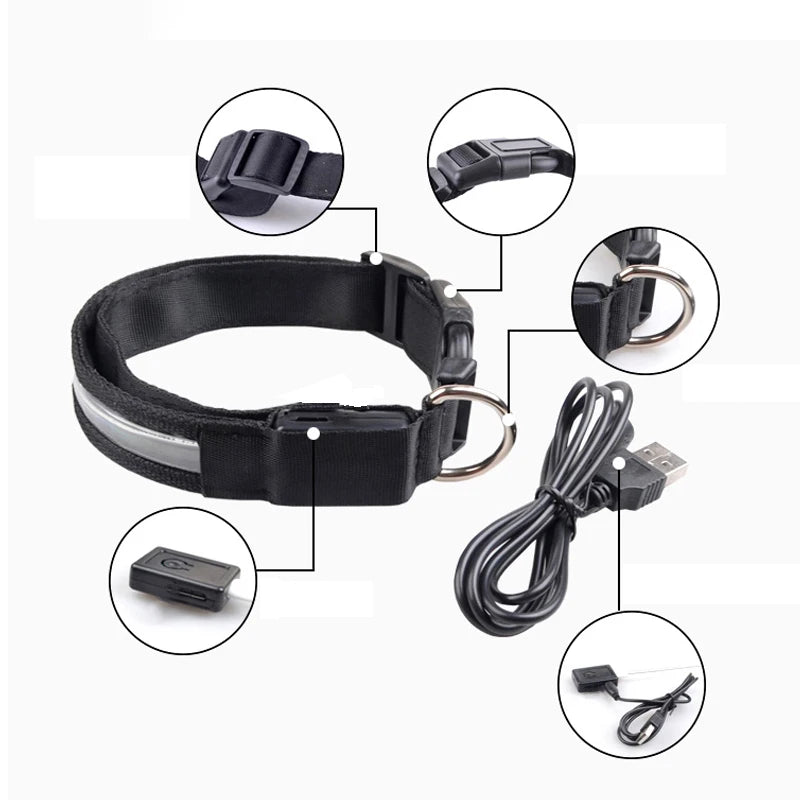 Engraved ID LED Dog Collar Luminous USB Custom Dog Tag Personalized Nylon Pet Dog Collar Led USB Light Night Safety Collar Perro