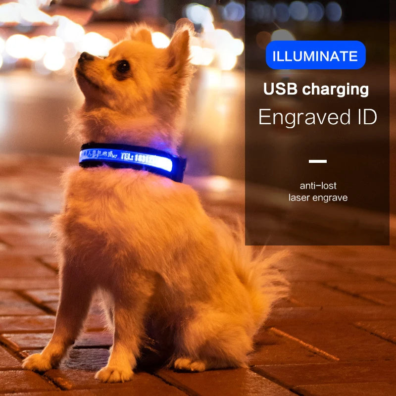 Dog Collars Personalized With Name/Phone Prevent Loss LED Night Safety Necklace Pet Collar Dog Small Puppy Cat Collar Para Perro