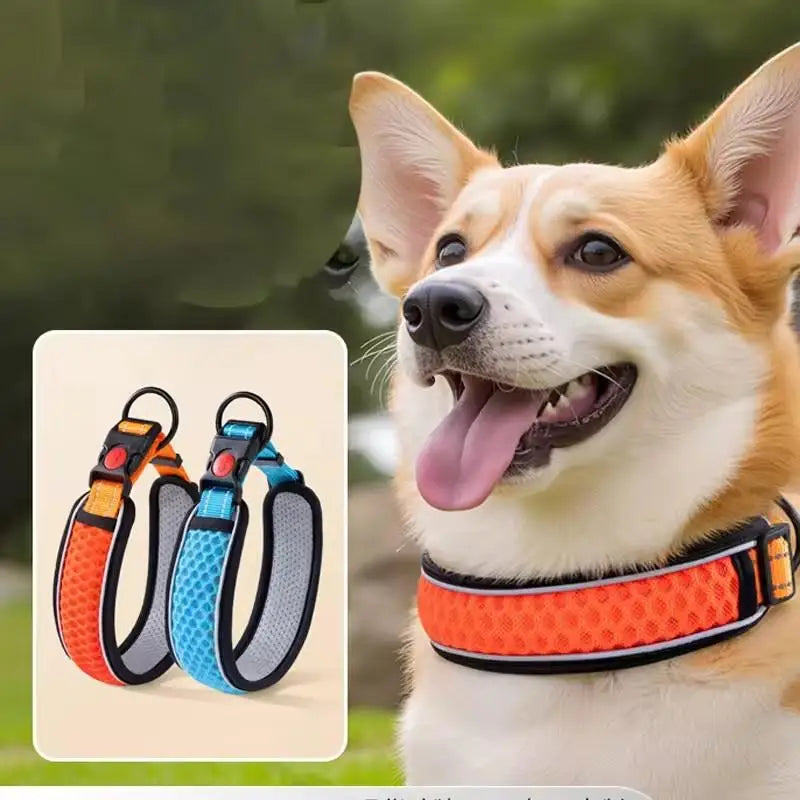 Dog Collar Nylon LED Night Safety Flashing Glow In The Dark Pet Dog Leash pet Dogs Luminous Fluorescent dog accessories collar