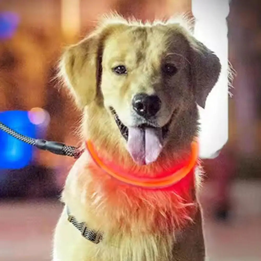 Pet Dog LED Light Collar Luminous Anti-Lost Dog Collar USB Rechargeable Dog Necklace Adjustable Collar Pet Safety Supplies