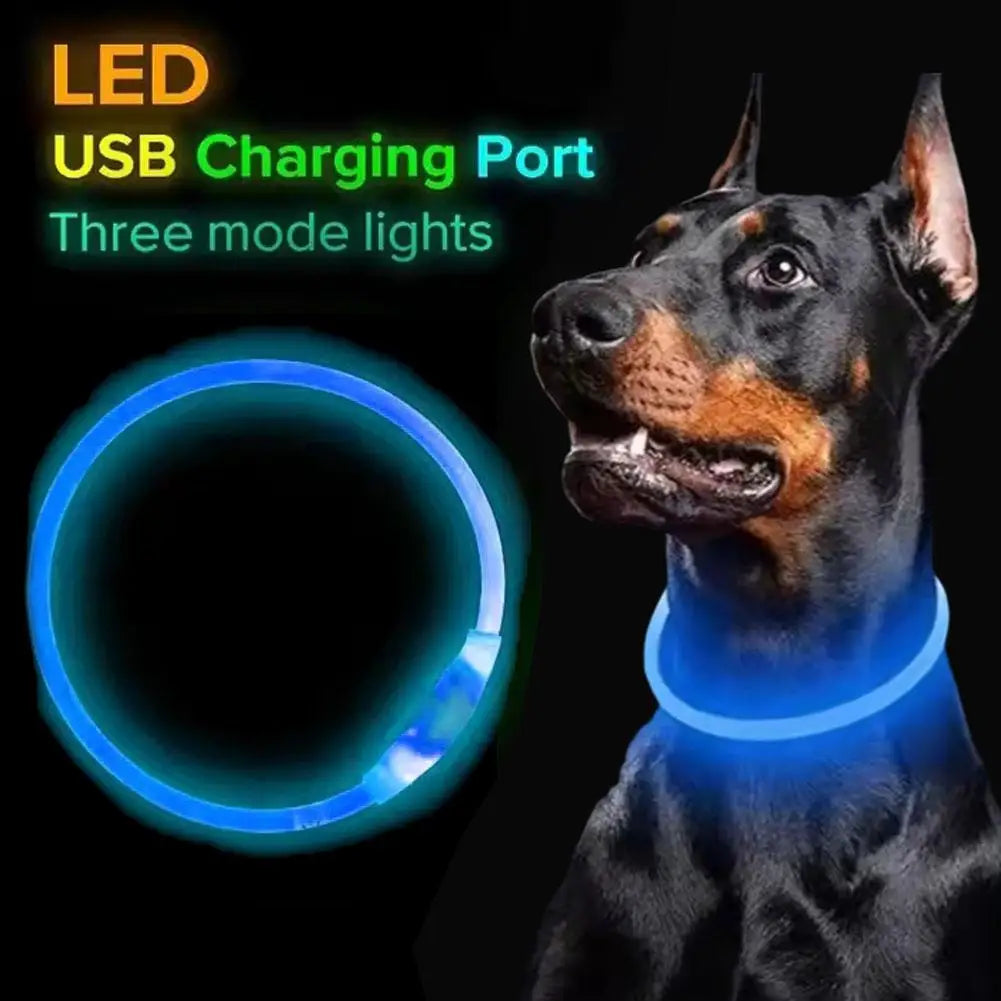 Pet Dog LED Light Collar Luminous Anti-Lost Dog Collar USB Rechargeable Dog Necklace Adjustable Collar Pet Safety Supplies