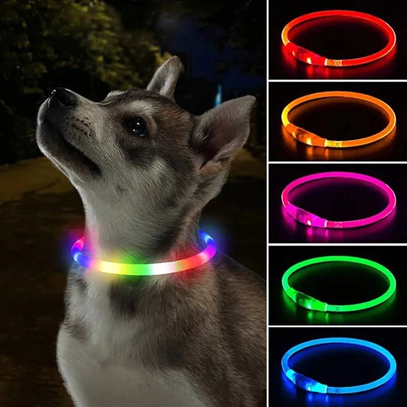 4 Modes Dog Luminou Charge Collar Led Usb Cat Silicone Colorful Collars Cuttable Night Glow Pet Loss Prevention Dogs Accessories