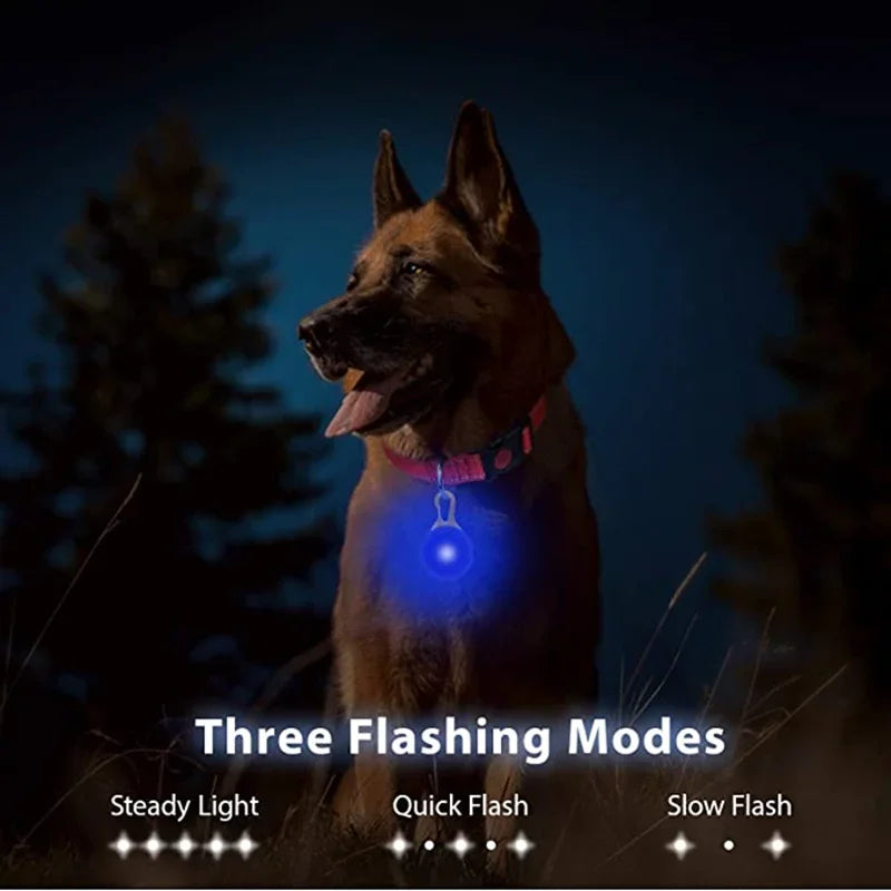 Led Dogs Collars Pendant Rechargeable Pet Usb Luminous Collar Pendant Puppy Flash Light Leash Accessorie Decoration Dog Necklace