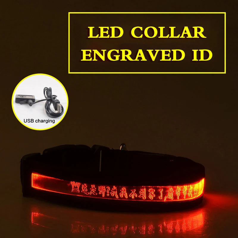 Dog Collars Personalized With Name/Phone Prevent Loss LED Night Safety Necklace Pet Collar Dog Small Puppy Cat Collar Para Perro