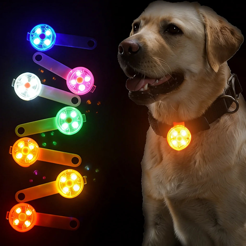 Dog Collar LED Light (USB Rechargeable) Waterproof Flashing Pendant Suitable For Night-time Dog Walking To Prevent Loss Alert