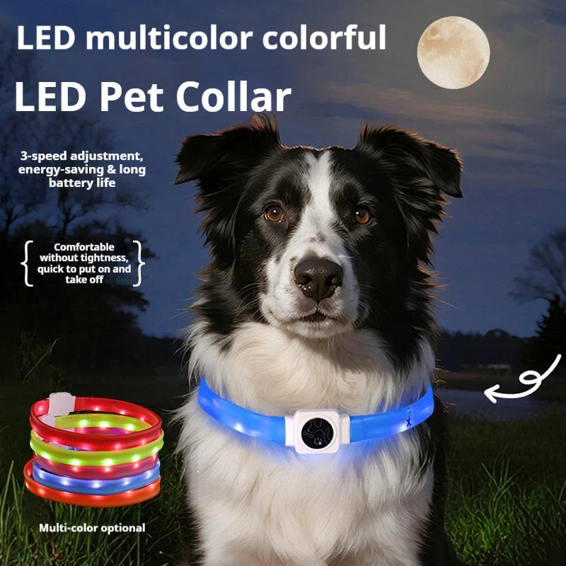 Led Pet Collar Type-C Charging Silicone Nighttime Luminous Ring Usb Dog Cat Collar Quick Flash Constant Light Slow Flash