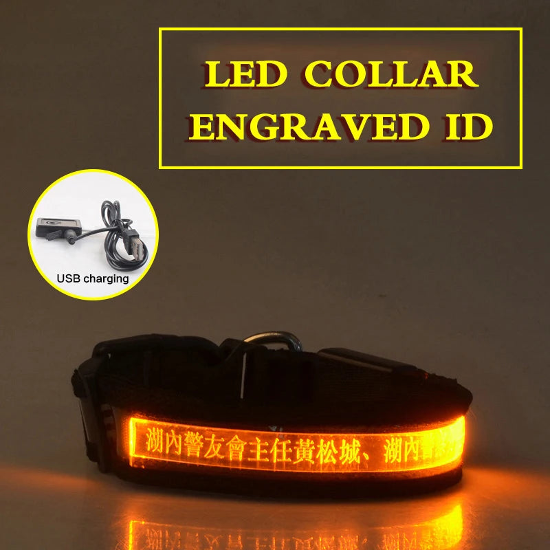 Dog Collars Personalized With Name/Phone Prevent Loss LED Night Safety Necklace Pet Collar Dog Small Puppy Cat Collar Para Perro