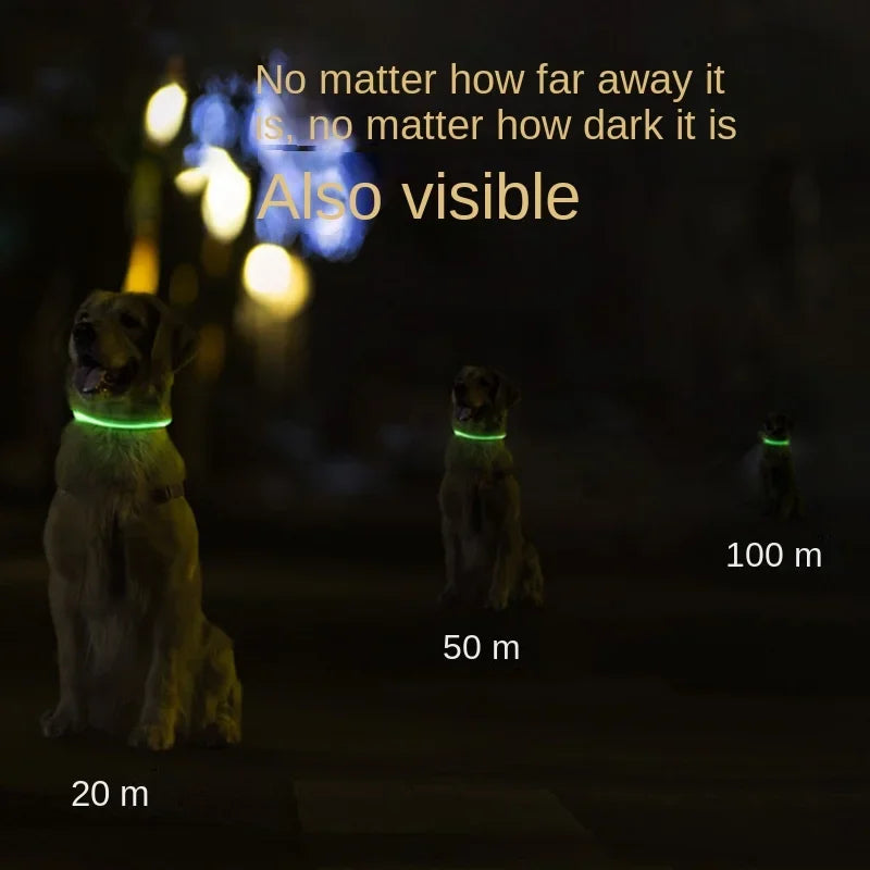 70cm Adjustable LED Dog Collar TPU USB Rechargeable Lighting Collar Glowing Luminous Night Safety Flashing Glow Collar Leads