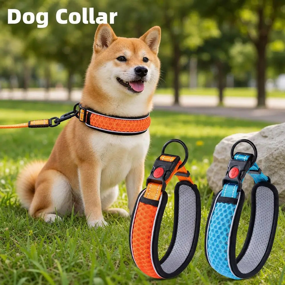 Dog Collar Nylon LED Night Safety Flashing Glow In The Dark Pet Dog Leash pet Dogs Luminous Fluorescent dog accessories collar